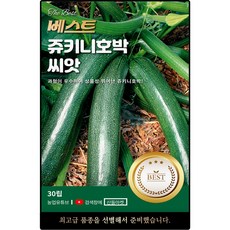 베스트 쥬키니 호박 씨앗 30립 수량성 좋고 상품성 뛰어난 호박씨 종자, 2개