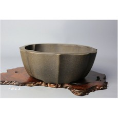 【小樹安每】日本盆缽 陶青園製 古銅泥劍式輪花鉢 19cm, 1個