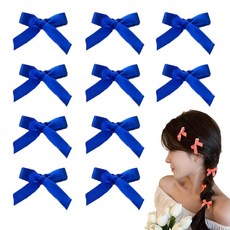 바이유즈 발레아쥬 미니리본핀 ver.2