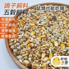 【30年老店 新街鳥園】鴿子營養飼料，老鼠飼料，促進健康，增強免疫力，提升繁殖力, 1個, 600G, 600g