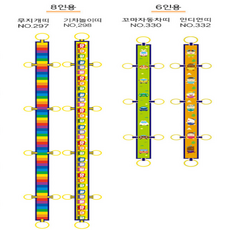 가꿈 바깥놀이용품 미아방지 인솔띠두줄기차 6인용 8인용 10인용 어린이집 유치원 학원 학교 안전용품 소풍띠 안전띠 인솔밴드, NO.332 인디언띠(6인용), 1개