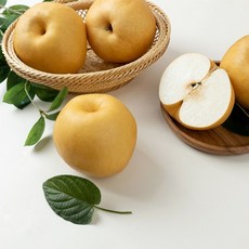 나주배 가정용/특품 3kg 5kg 15kg 산지직송 배, 01. 나주배 가정용 3kg (7-9과)