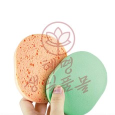 혜명몰 미용해면, 현무암구멍