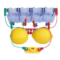 초등1 전기 생산원리 과일 전기만들기 전해질 용액실험키트 반응 어린이 창의력