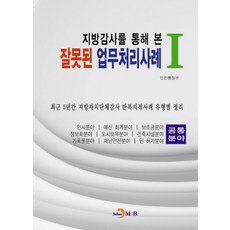 지방감사를 통해 본잘못된 업무처리사례 1:최근 5년간 지방자치단체감사 반복지적사례 유형별 정리, 진한엠앤비, 안전행정부