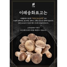 [이레송화표고] 프리미엄 송화버섯 농가직송, 1kg(못난이-실속), 1개