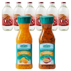 골든팜 과일청 에이드 패키지 망고 + 패션프루츠, 2개, 500ml