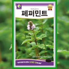 페퍼민트 씨앗 200립 허브 종자 야생화 민트 박하 향신료