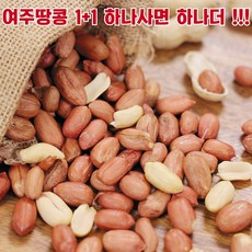 여주특산영농조합 맛있는 여주땅콩 국산땅콩 볶음땅콩 1+1 하나사면 하나더, 2개, 500g