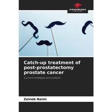 (영문도서)Catch-up treatment of post-prostatectomy prostate cancer Paperback, Our Knowledge Publishing, English, 9786209258343