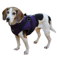 realpet 大型犬短版鋪棉胸背帶, Purple, 1件