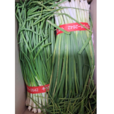 당일수확 달고 순한 쪽파 1단 깐쪽파, 1개, 1kg
