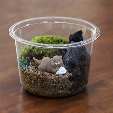 꽃집사의 이끼 정원 피규어 테라리움 만들기 DIY 수달 미니, 1세트