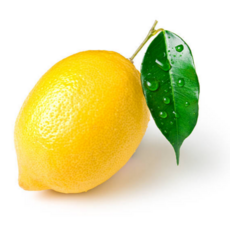 굿피플 레몬 미국산레몬 lemon 썬키스트, 1박스, 못난이 레몬 5과 (120g)