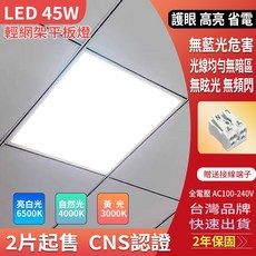 LED平板燈 45W 輕鋼架燈 60x60 亮度6500K/4000K/3000K CNS認證 2年保固, 1個, 45W高亮護眼平板燈,4000K(自然光)