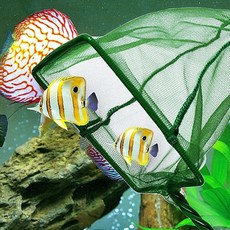 관상어 어항 부유물제거 이물질제거 치어분리 뜰채