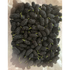 [국산/국내산] [2024년산] 냉동 햇오디 1kg 급냉오디 오디 국산오디, 1개