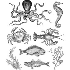 Art Gone Wild AGCMS304 Tim Holtz Sea Life 클링 고무 스탬프 세트 합성 소재 멀티 컬러 24.5 x 18 0.6cm9.6 0.25인치 10, Art Gone Wild AGCMS304 Tim Hol