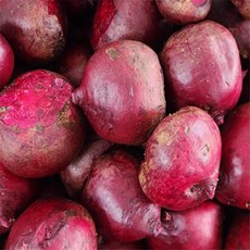 레드비트 2kg 샐러드레드비트, 해남 친환경 유기농 레드비트 2kg, 1개