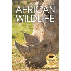 (英文圖書)Picture Book of African Wildlife: A Gentle Collection of Real Wildlife Photograp... 平裝版, Independently Published, 英文