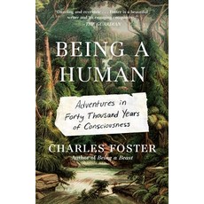 (영문도서) Being a Human: Adventures in Forty Thousand Years of Consciousness Paperback, Metropolitan Books, English, 9781250855404
