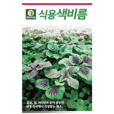 식용색비름2g, 2g, 1개