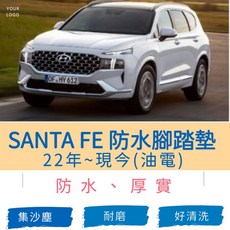 SANTA FE 22年式 防水腳踏墊, 1個, 駕駛座一片,黑