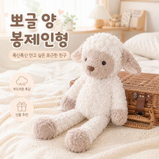 키키픽스 포근 양 인형 뽀글 봉제인형 애착인형 양인형 선물 인테리어 소품, 화이트, 1개