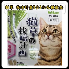 P老闆水族 Pet Best 貓草栽培計畫3合1化毛種植盒 貓草種子 貓草盆栽 DIY貓草種植組 貓薄荷, 1個, 貓草