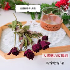 無名精選 質感玻璃擺件 無火擴香香薰 乾燥花裝飾, 1個, 材料包/人員魅力玫瑰組（不含杯）