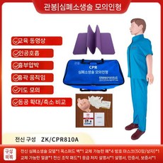 심폐소생술 마네킹 학교 실습 훈련 연습 교육 응급처치 교육용 CPR, 전신 기준