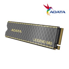 ADATA LEGEND 860 M.2 NVMe 파인인포 (500GB)