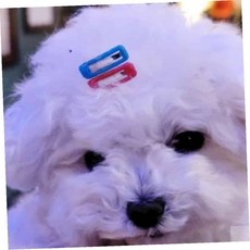 온지니아 강아지삔 강아지 똑딱핀 머리핀 5P