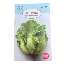 天星牌唐山萵苣種子 V-615，家庭園藝蔬菜種子，半結球萵苣，安心種植, 1個