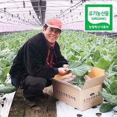 직거래농민장터 친환경 유기농 케일 즙용, 1kg, 1박스