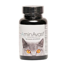 AminAvast 胺腎 犬貓腎臟保健營養補充品，快速出貨，支持腎臟機能，維持健康活力, 1個, 貓咪&10公斤以下小型犬專用