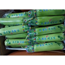 국산 애호박 1박스 대용량 6~7kg 산지직송 디에스농수산