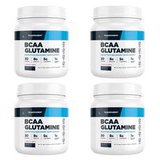 트랜스패런트 랩스 BCAA 글루타민 트로피컬 펀치 582g, 4개