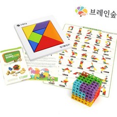 라이즈올 브레인숲 소마랑 칠교랑 칠교퍼즐 유치원교구