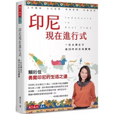 天下文化 印尼現在進行式：一位台灣女子逾20年的在地觀察