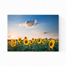 풍수아트 돈들어오는 풍수 해바라기 그림 액자 29종 15.NEW쾌청해바라기, 캔버스액자