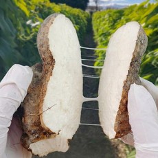 [슈퍼특가]햇 산약마 영주 우수농가, 1박스, 단마 1kg