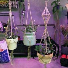 풀드림몰 공중 화분걸이 행잉 그물 밧줄 15-25cm 화분용 마크라메 공중식물걸이 화분행잉