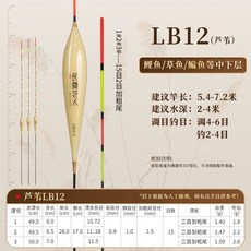 蘆葦漂 醒目野釣魚漂 輕口高靈敏浮漂 黑坑大物漂, 1個, -2.6g 行程混養鯽鯉 【粗尾】,3號