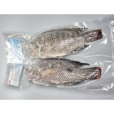FROZEN RED & BLACK TILAPIA 냉동 레드 & 블랙 틸레피아 블랙 텔레피아 1KG