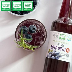 홍성농부의 국내산 유기농 블루베리 효소 과즙음료, 500ml, 2박스