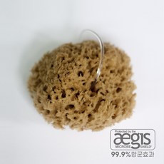 베베캐슬코리아 천연해면 그리스산 항균 아기목욕 스펀지 최상급해면, 칼림노스S, 1개
