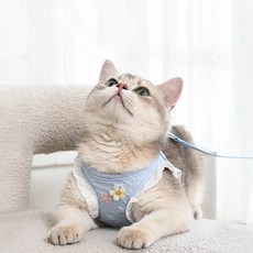 큐트스마트 고양이 플라워 앤 레이스 하네스 리드줄 세트, 블루, 1개