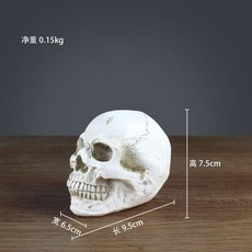 骷髏頭模型 1:1解剖頭骨 人體模型 繪畫藝用, 1個, 一體小頭骨