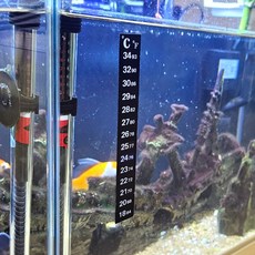 어항 온도계 온도 스티커 일자형, 1